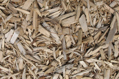 biomass boilers Balnapaling